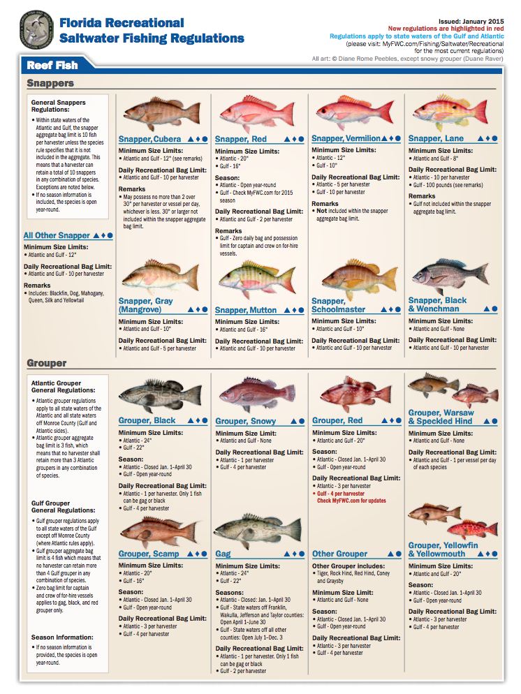 Fish Size Chart Florida