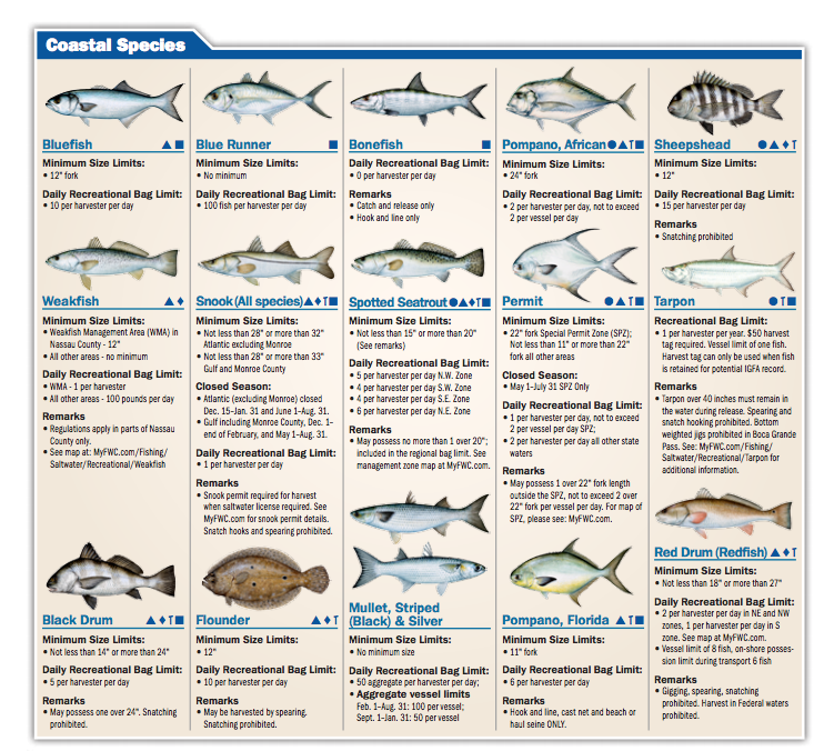 Tampa Bay Fishing Calendar | Fishing Charters St. Pete Beach ...