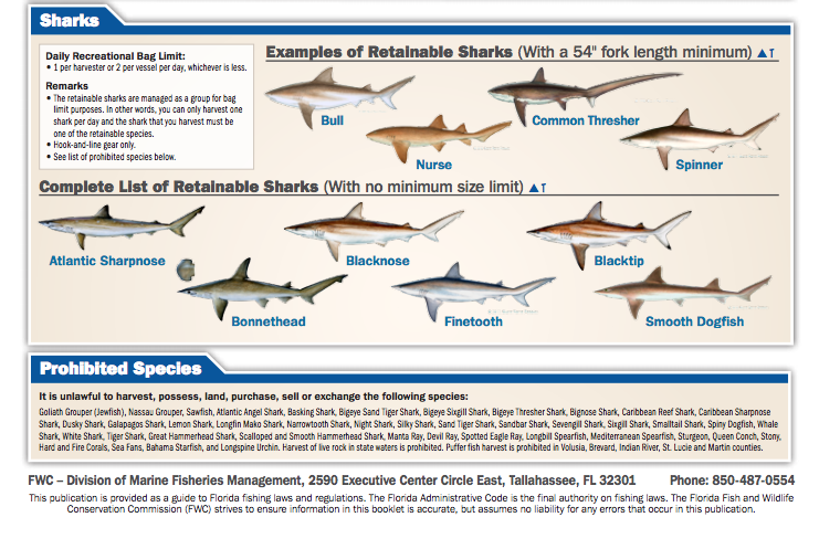 Tampa Bay Fish Chart