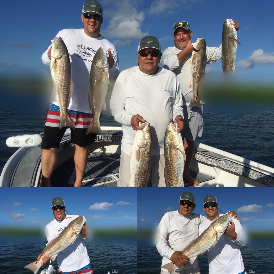 Recent Catches & Trip Reports Fishing Charters St. Pete