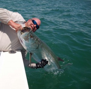 Capt John Fidi - Tarpon Fishing