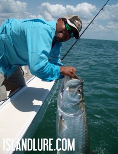 Tarpon Fishing 2012 Tampa Florida