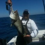 Red Grouper Deep Sea Fishing Charters Tampa, St. Petersburg, Clearwater, FL