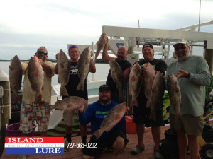 The Day's Catch - Capt. Marciano, son Joe and the Crew of Stiff Competition of island Lure Fishing Adventures Tampa St. Pete Folorida