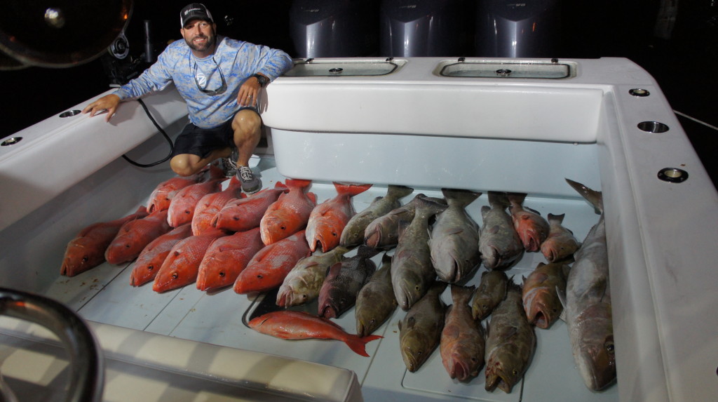 American Red Snapper Charter - St Petersburg, FL