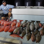 American Red Snapper Charter - St Petersburg, FL