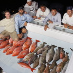 American Red Snapper Charter - St Petersburg, FL