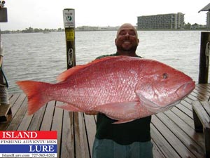 Tommy Butler Red Snapper Fishing pictures