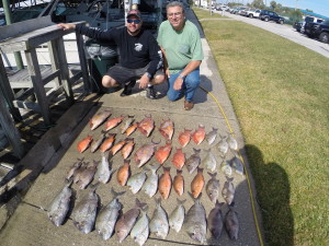 Deep Sea Fishing St. Petersburg, Fl - St. Pete beach