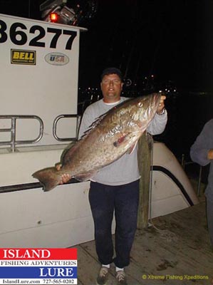 Clearwater Fishing Charters