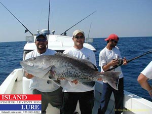 Clearwater Fishing Charters