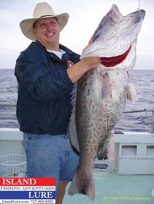 Clearwater Fishing Charters