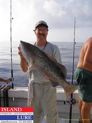 Tampa Deep Sea Fishing Charters