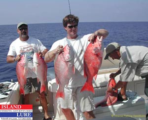 Tampa Deep Sea Fishing Charters