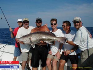 Grouper Fishing