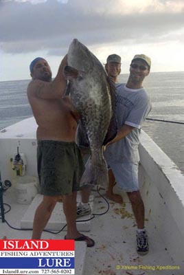 Warsaw Grouper Fishing