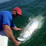 Tarpon Fishing Tampa, FL