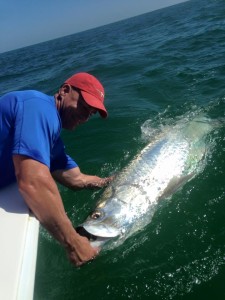 Tarpon Fishing Tampa, FL