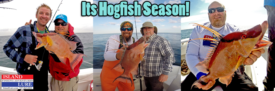Hogfish Charters Tampa Bay FL - Deep Sea Fishing St. Petersburg