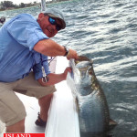Tarpon Fishing Charters Tampa Bay FL