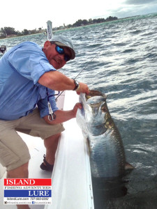 Tarpon Fishing Charters Tampa Bay FL