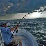 Tarpon Fishing Charters Tampa Bay FL