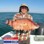 More Spring Hogfish - Island lure Fishing Charters St. Petersburg, FL