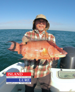 More Spring Hogfish - Island lure Fishing Charters St. Petersburg, FL