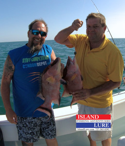 More Spring Hogfish - Island lure Fishing Charters St. Petersburg, FL