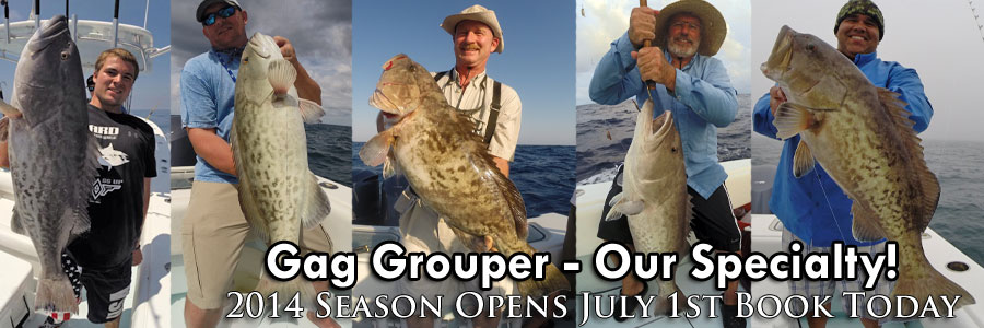 Deep Sea Grouper Fishing Charters - St. Petersburg, Clearwater, Tampa Florida