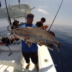 Gag Grouper Deep Sea Fishing Charters Tampa, St. Petersburg, Clearwater, FL
