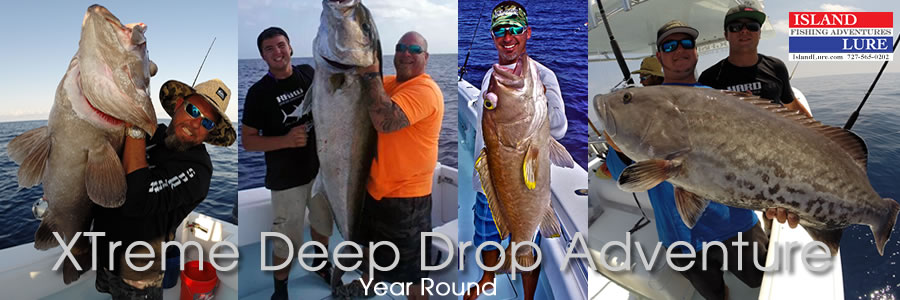 Deep Sea Fishing Charters Tampa, FL - ST. Petersburg FL