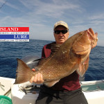 Red Grouper Deep Sea Fishing Charters Tampa, St. Petersburg, Clearwater, FL