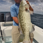 Gag Grouper Deep Sea Fishing