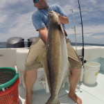 Cobia Deep Sea Fishing