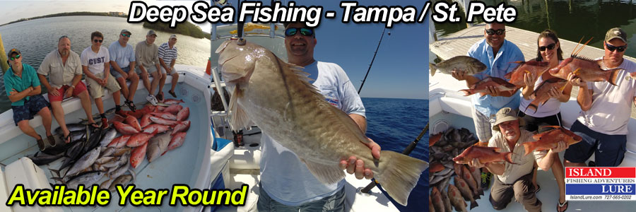 Deep Sea Fishing Charters Tampa, FL - ST. Pete Beach, FL - St. Petersburg, FL