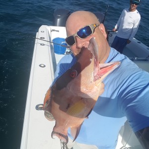 ST Pete Beach Fishing Charters