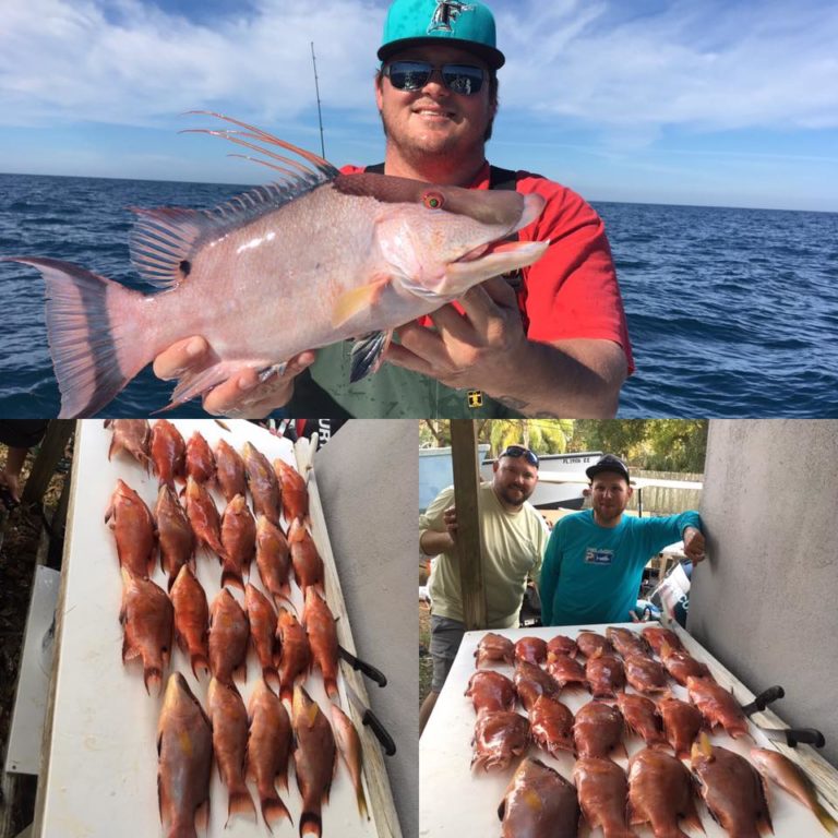 Offshore Tampa/St. Pete Fish Reports Fishing Charters St